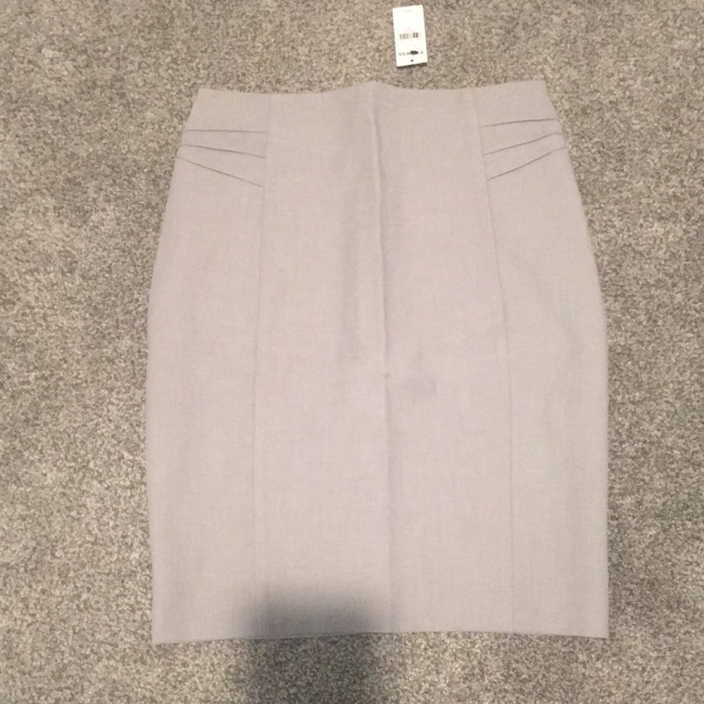 Express Pencil Skirt